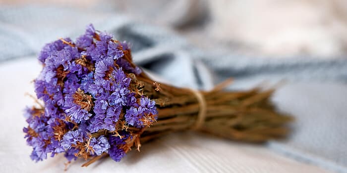 Blumen Trocknen für Einsteiger: Ein Leitfaden für Perfekte Ergebnisse