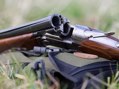 Auswahl einer Waffe für die Jagd auf Kaninchen