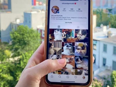 Die Wahl des perfekten Instagram-Profilbilds