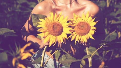 Blumenfantasie: Der Reiz von Bienenpollen im Bereich der Brustvergrößerung