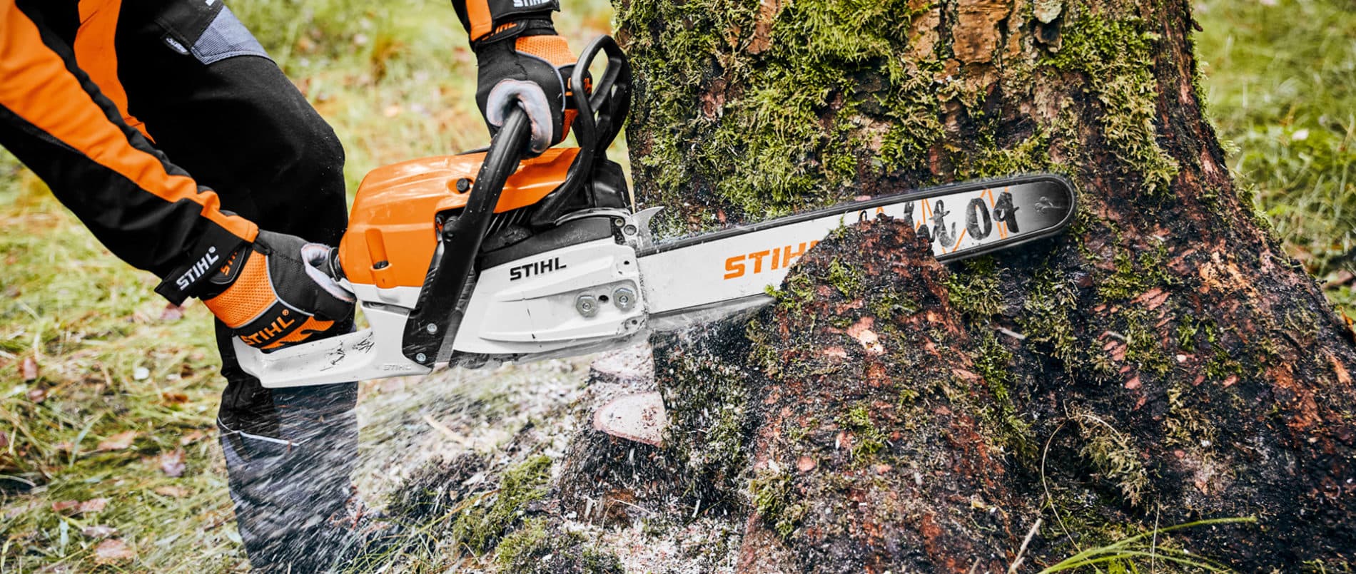 Stihl im Obstbau: Perfekte Schnitttechnik für gesunde Ernte