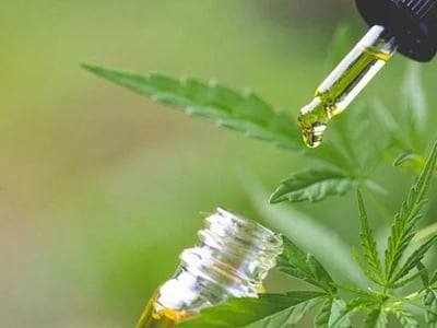 3 Vorteile von CBD-Öl für die psychische Gesundheit
