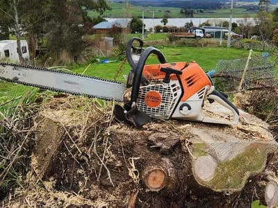 Stihl im Obstbau: Perfekte Schnitttechnik für gesunde Ernte