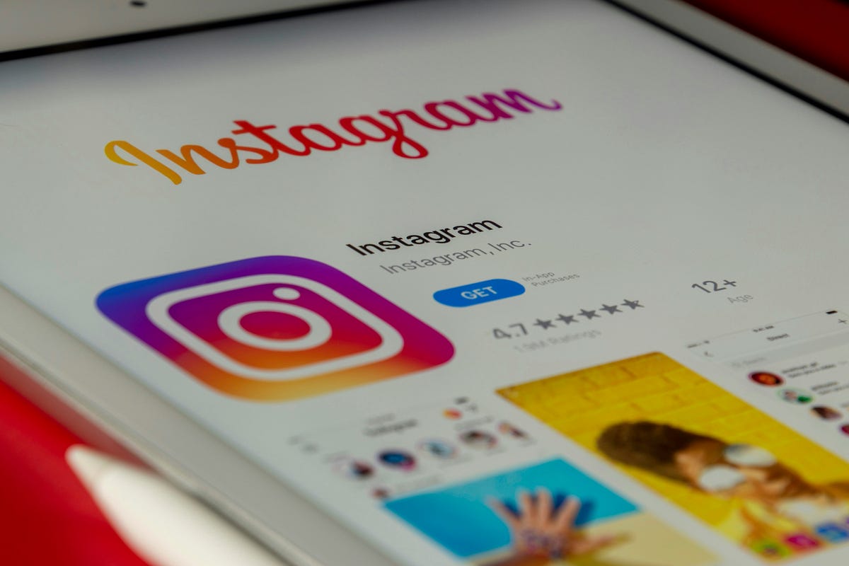 AboLöwe: Dein Geheimtipp für mehr Instagram Follower!