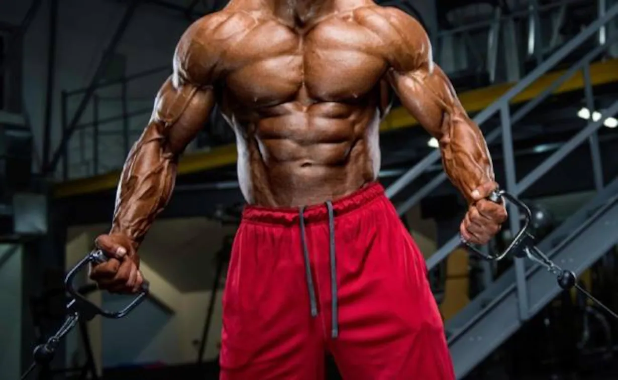 Fatburner Tabletten: Die besten Tabletten zum Abnehmen und Fettverbrennen