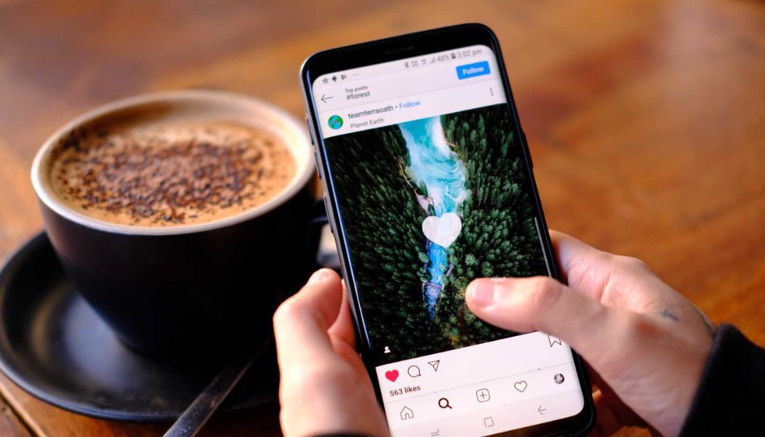 AboLöwe: Dein Geheimtipp für mehr Instagram Follower!