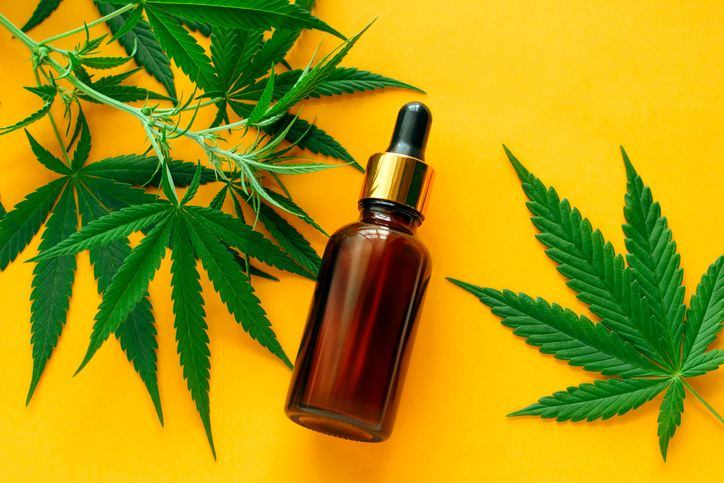 Der Einsatz von CBD Ölen in Europa steigt immer weiter
