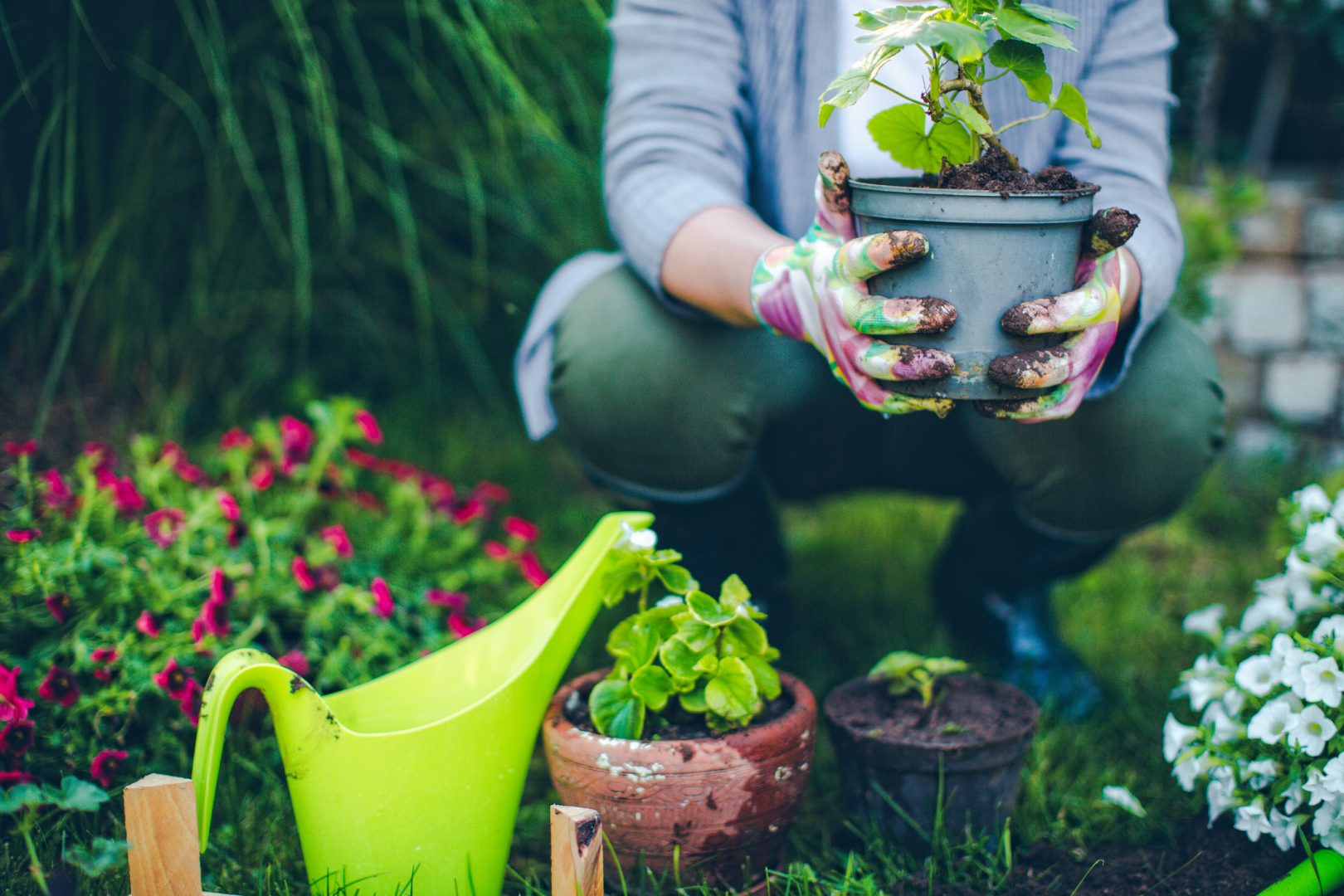 Gartenpflege: Machen Sie es richtig?