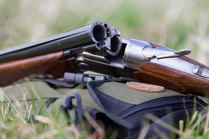 Auswahl einer Waffe für die Jagd auf Kaninchen