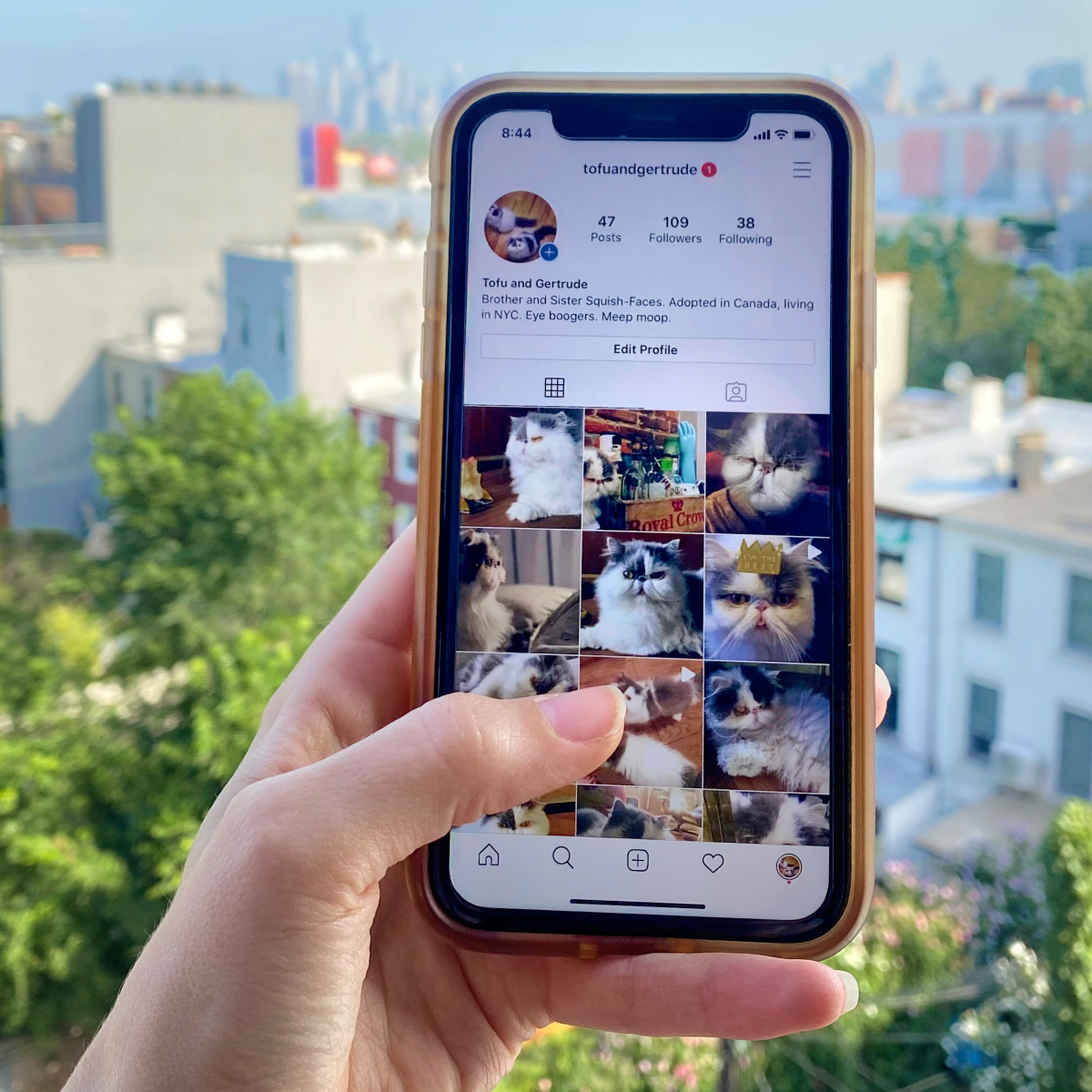 Die Wahl des perfekten Instagram-Profilbilds