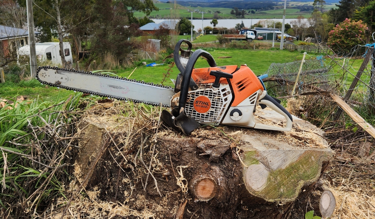 Stihl im Obstbau: Perfekte Schnitttechnik für gesunde Ernte