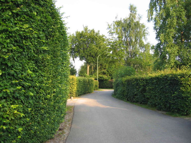 w1900_h1425_x1136_y852_Eicherscheid_07050043-1eadf8b3c4e74ca1